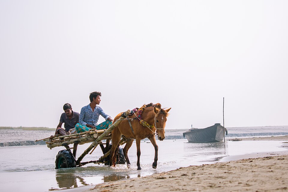 বালাসীঘাট — ছবি