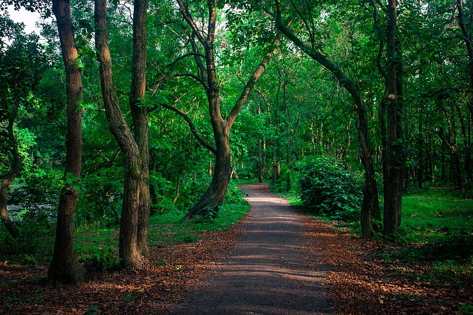 Photo of Bhawal National Park