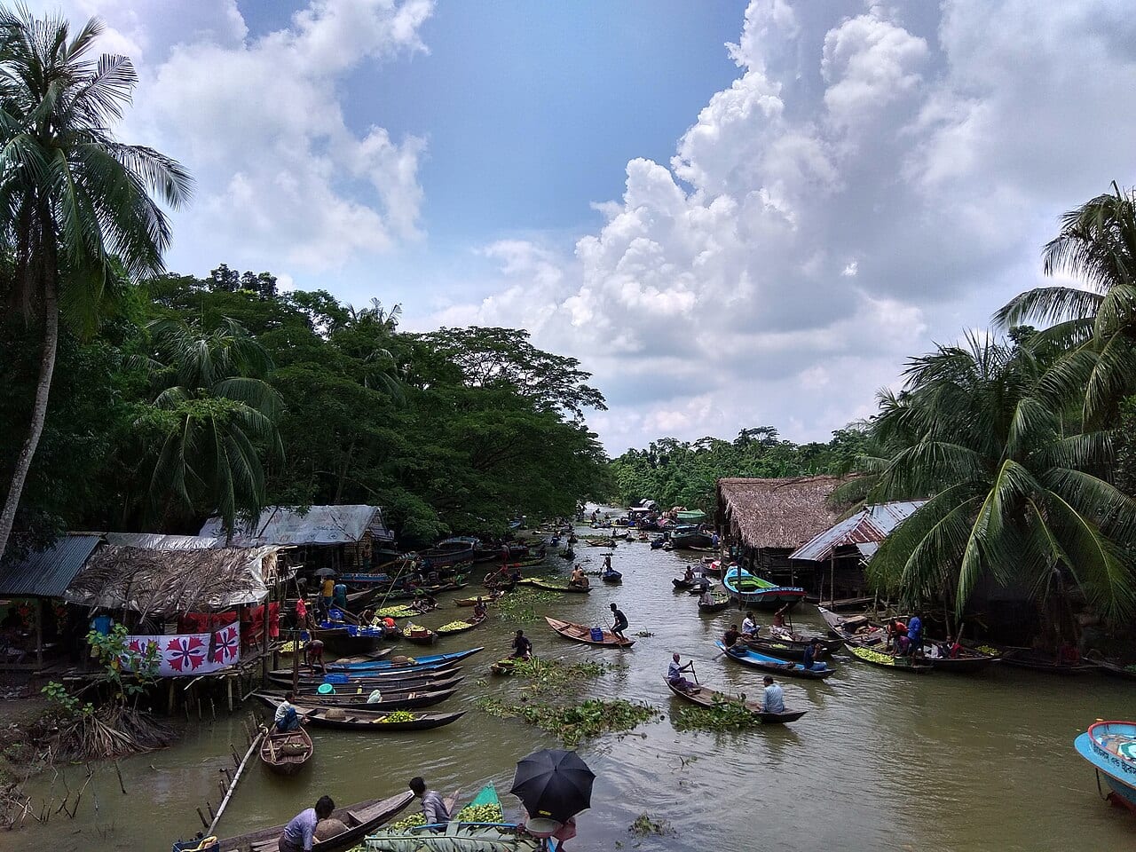 ভিমরুলি ভাসমান পেয়ারা বাজার — ছবি