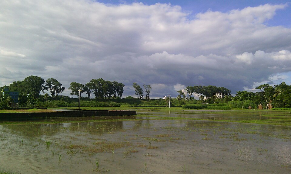 বিজয় সিংহ দীঘি — ছবি