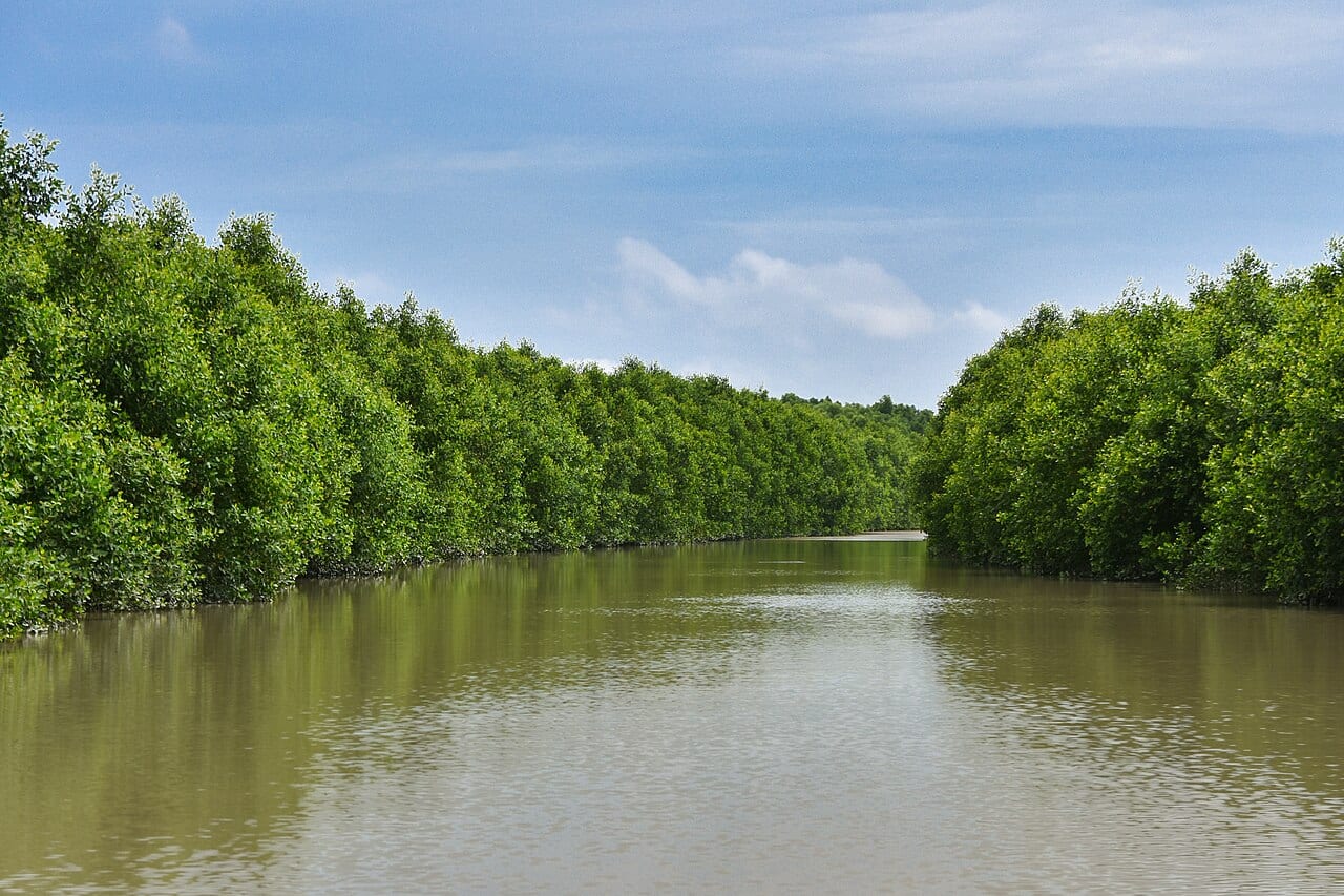 চর কুকরি মুকরি — ছবি