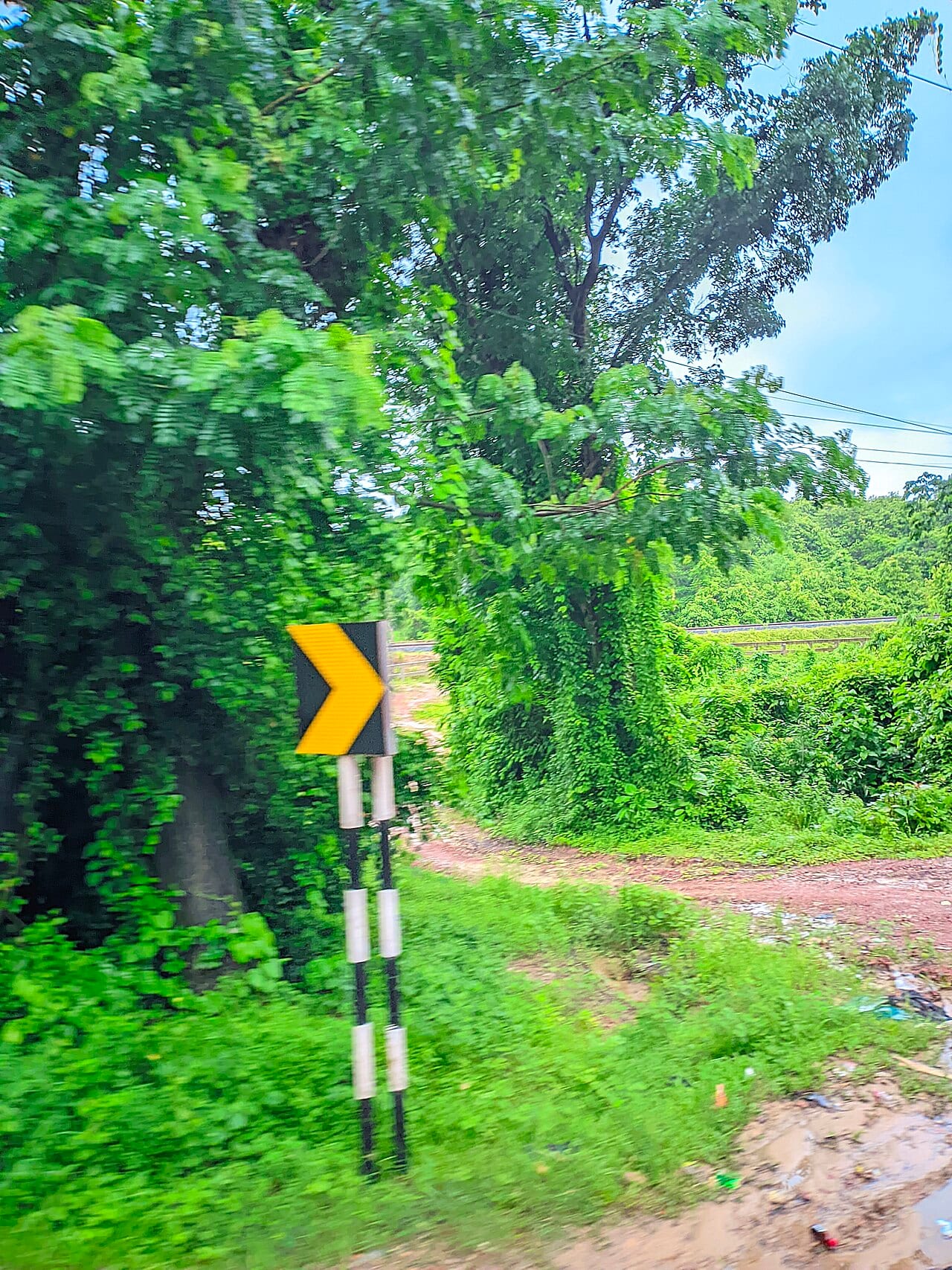 চুনতি বন — ছবি