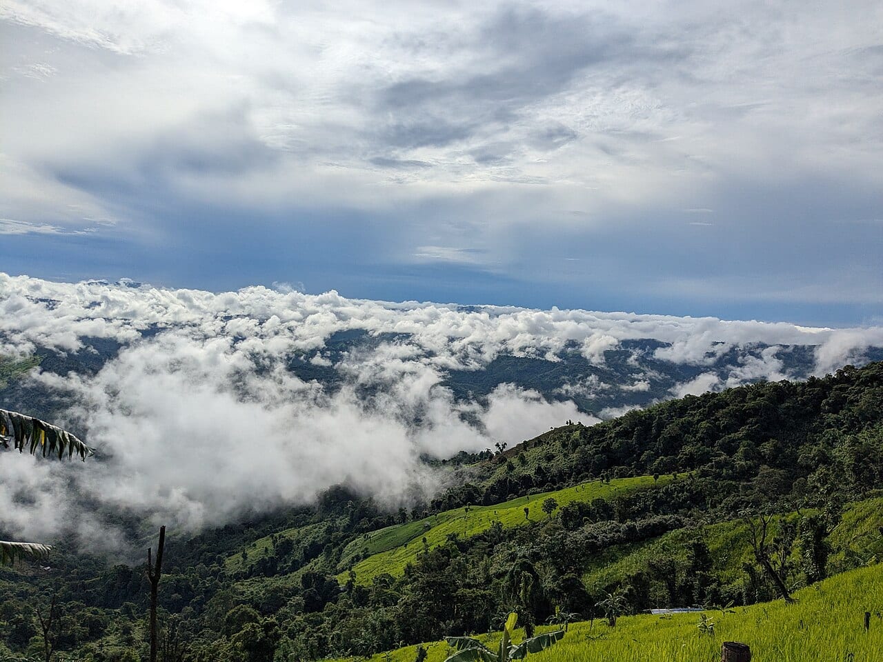 ডিম পাহাড় — ছবি