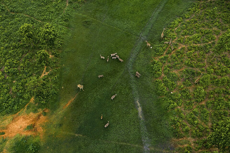 Photo of Gazipur Safari Park