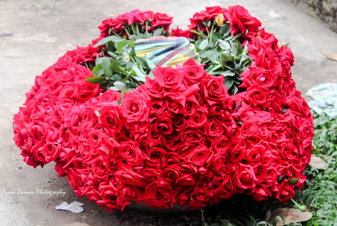 গোলাপ গ্রাম — ছবি