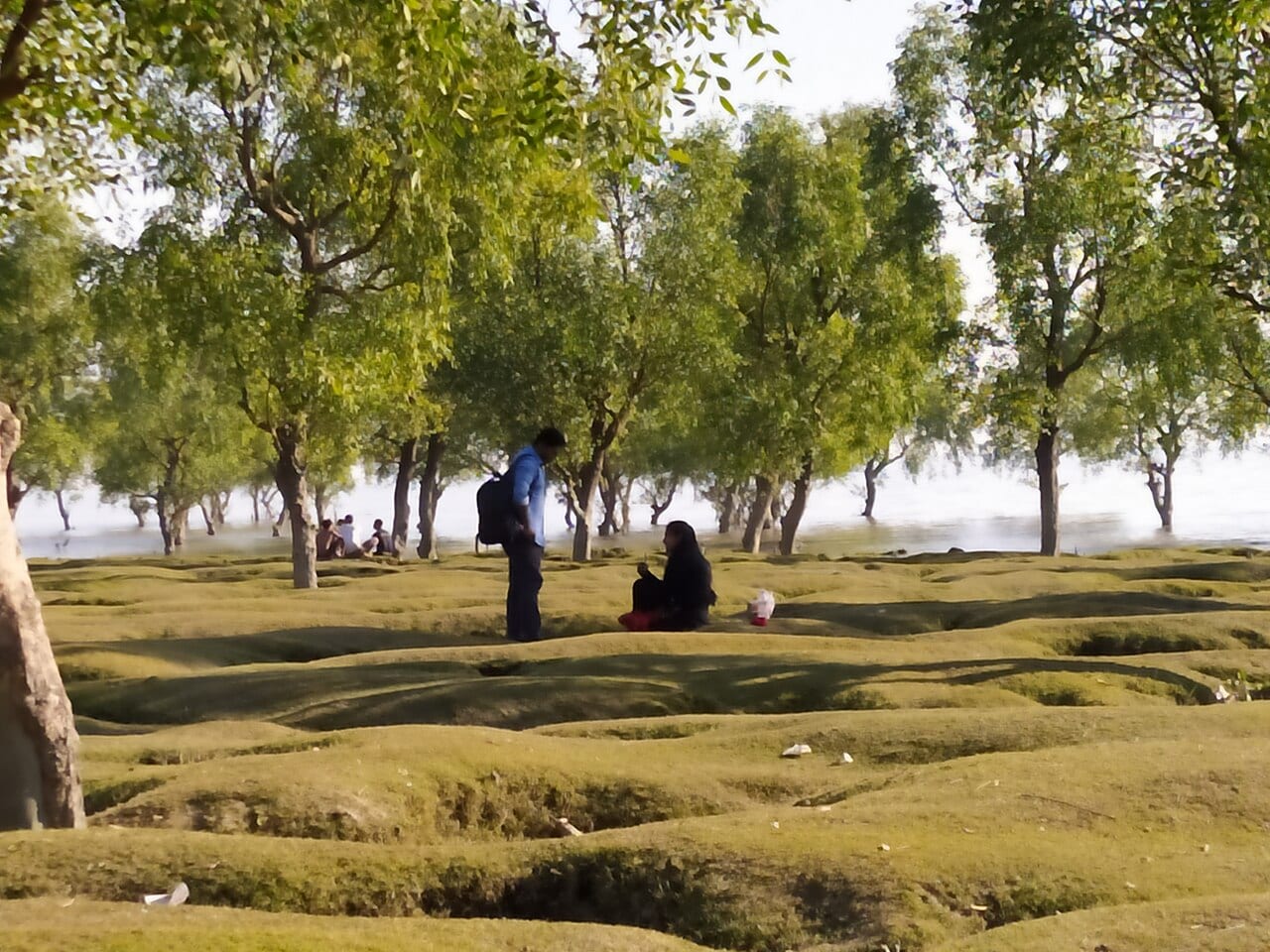 গুলিয়াখালি সমুদ্রসৈকত — ছবি