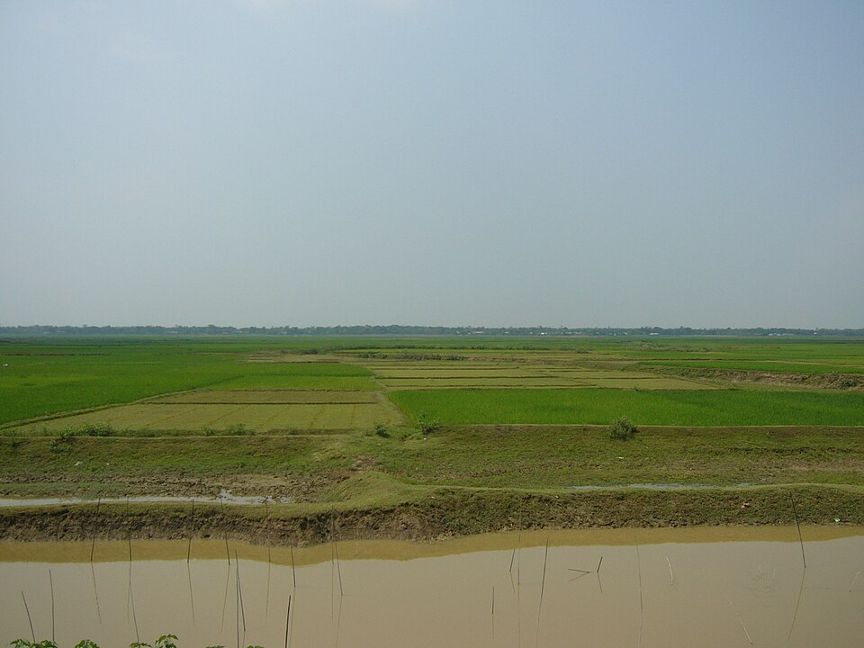 Photo of Hakaluki Haor