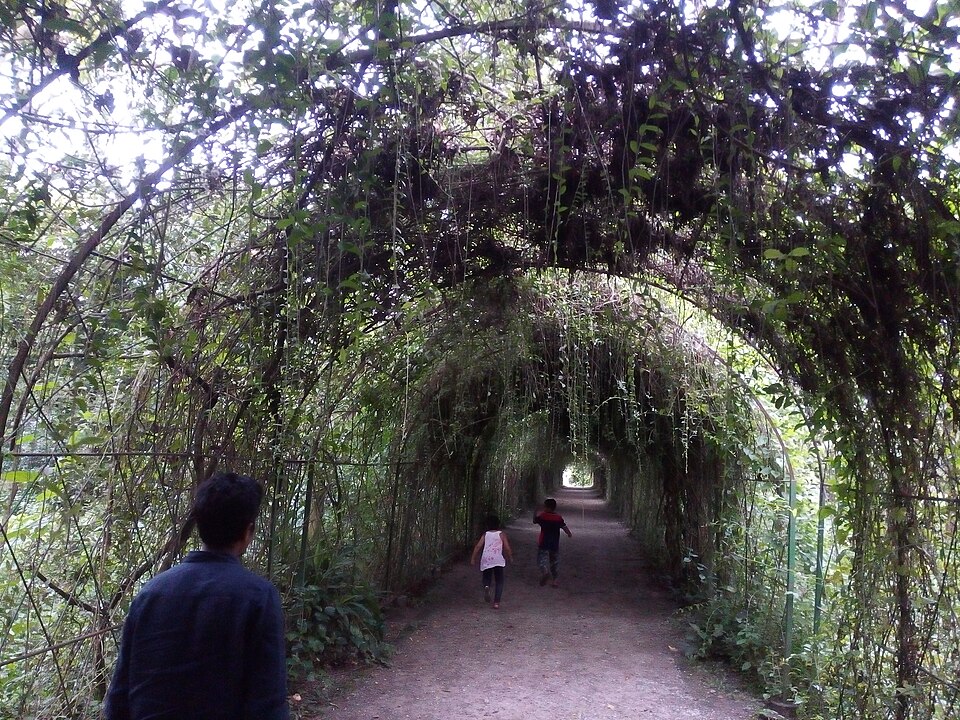 কাজী অ্যান্ড কাজী চা বাগান — ছবি