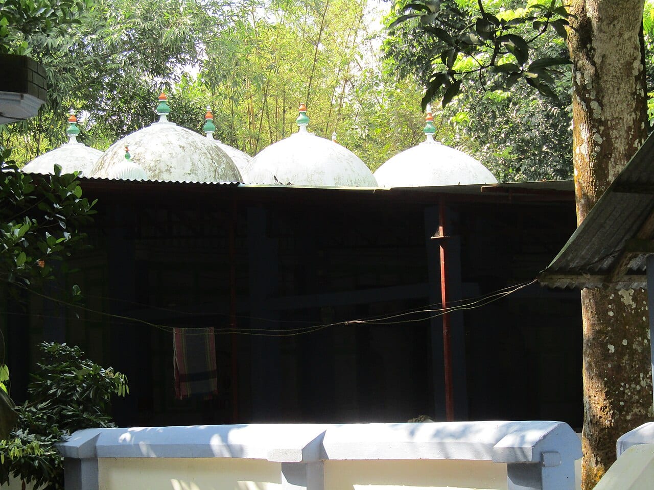 লালদিঘি নয় গম্বুজ মসজিদ — ছবি