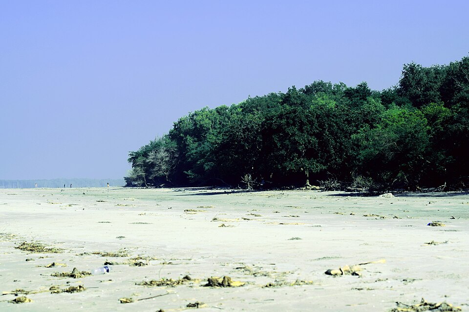 লেবুরচর — ছবি