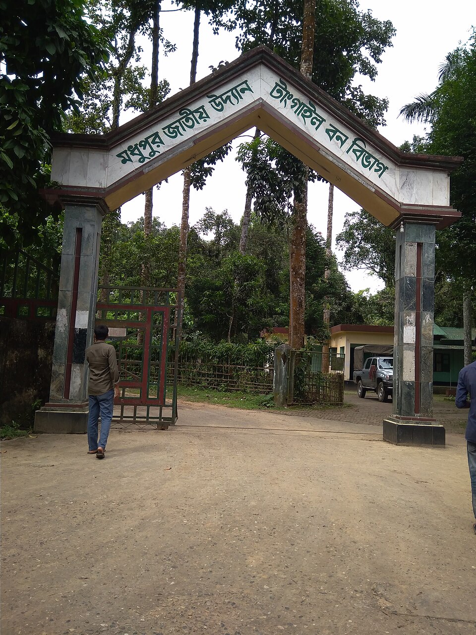 মধুপুর জাতীয় উদ্যান — ছবি