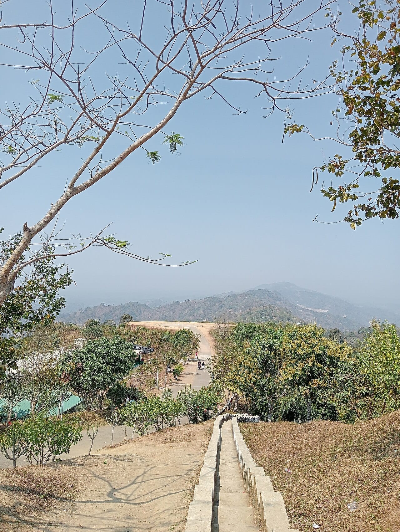 নীলগিরি — ছবি