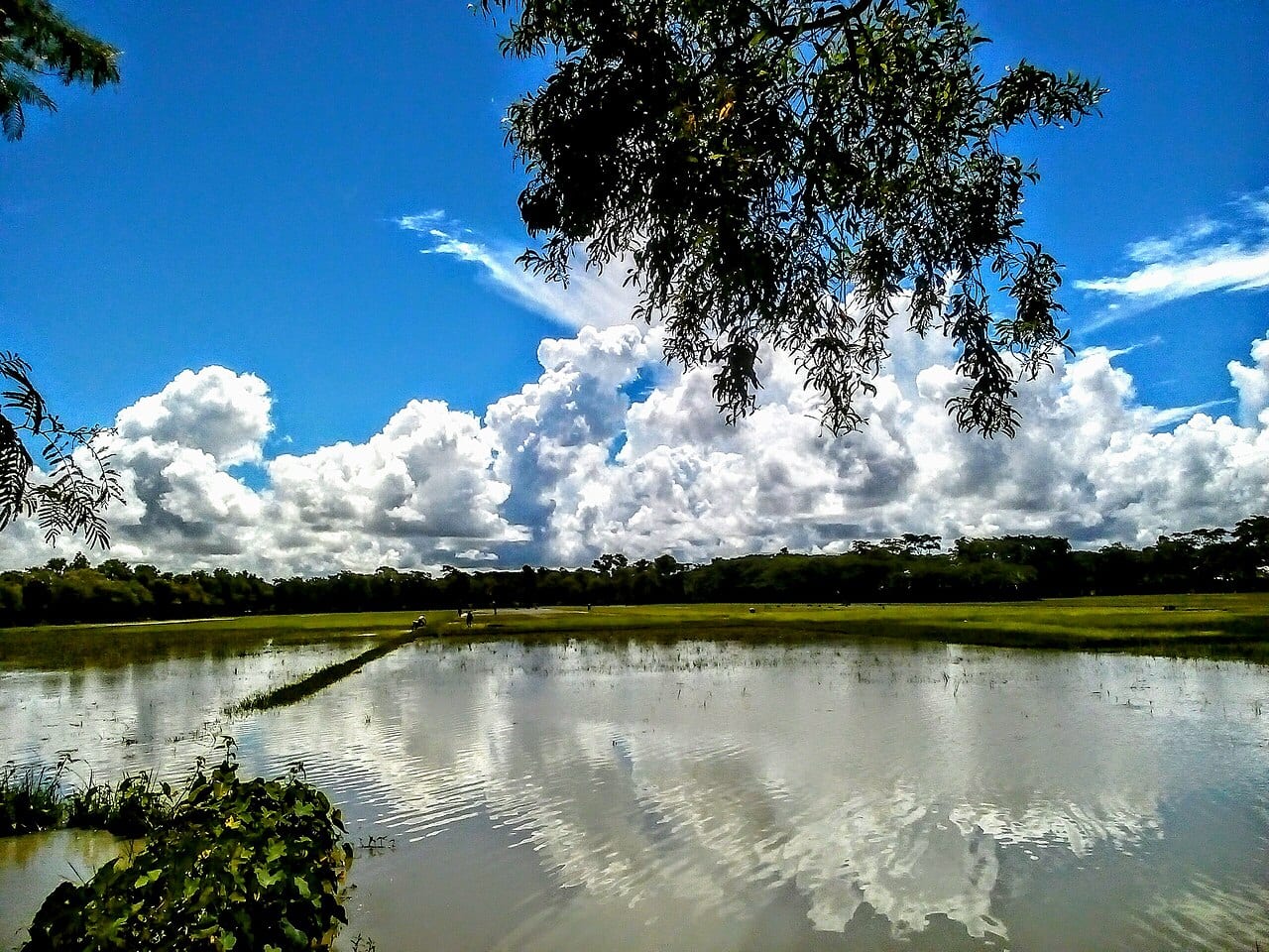 পাথরঘাটা — ছবি