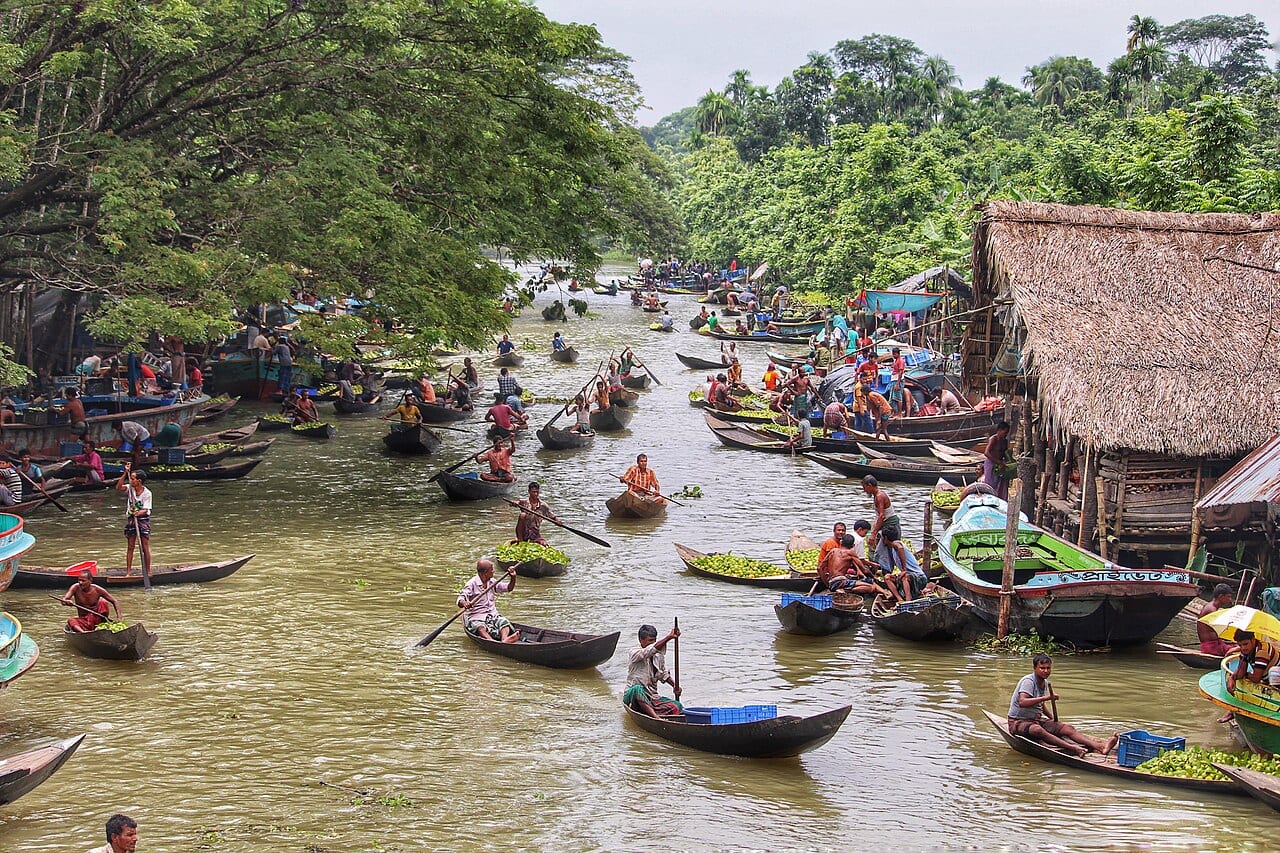 পেয়ারা বাগান — ছবি