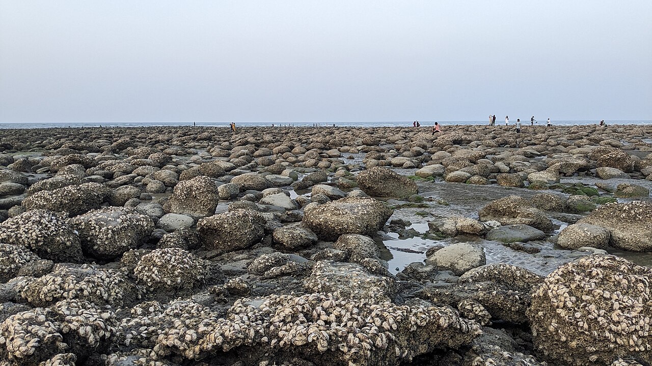 The rock-strewn beach of Saint Martin's Island