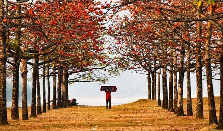 Photo of Shimul Bagan (Tahirpur)