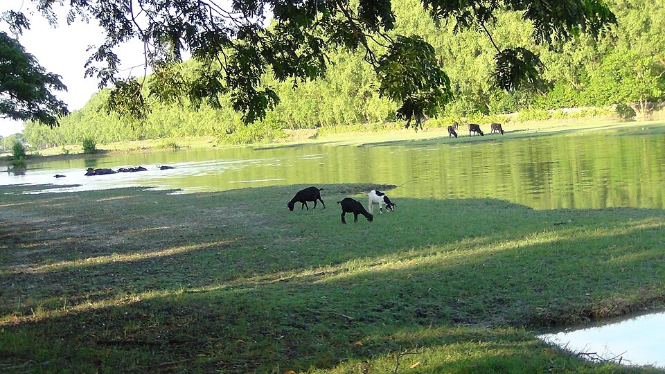 সোনারচর — ছবি