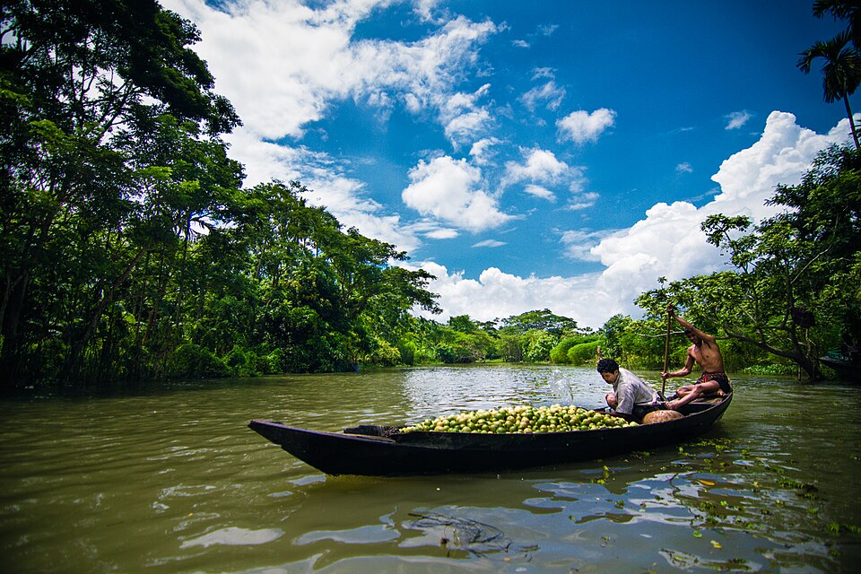 Photo of Swarupkathi Floating Guava Market (Atghor/Kuriana/Kirtipasha)