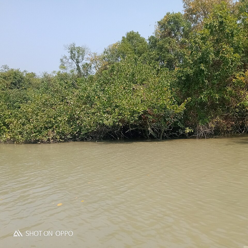 তেন্দ্রাগিরি বন্যপ্রাণী অভয়ারণ্য (ফাতরার বন) — ছবি